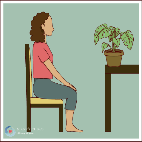 plant meditation