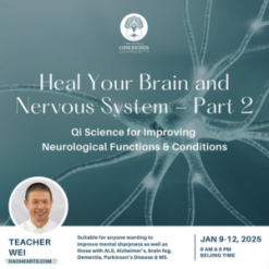 Recordings of "Heal Your Brain and Nervous System "- Part 1 and 2