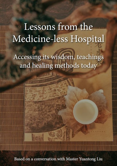 Lessons from the Medicine-less Hospital (E-Book)