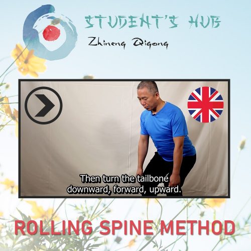 ZQSH Rolling Spine - En