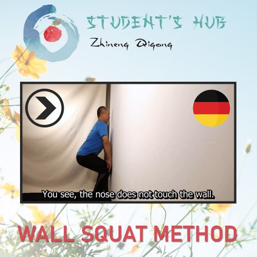ZQSH Wall Squats - De