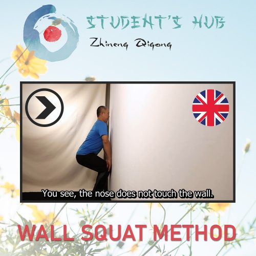 ZQSH Wall Squats - En