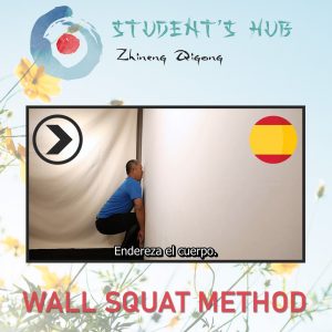 ZQSH Wall Squats - Es