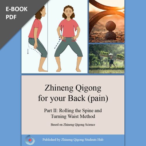 Zhineng Qigong for Your Back (Pain) Part 2 Physical Exercises